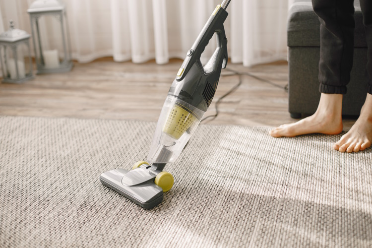 No More Pet Stains and Odors: The Complete Carpet Cleaning Solution for Pet Owners